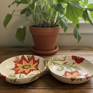Pier 1 Imports Carynthum Floral Hand-Crafted 8" Pasta or Soup Bowls Set Of 2